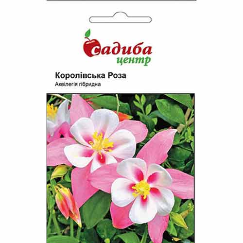 Аквілегія Королівська троянда, суміш забарвлень Садиба центр зображення 1 артикул 72888