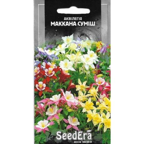 Аквілегія МакКана, суміш забарвлень Seedera артикул фото 1 Аквілегія МакКана, суміш забарвлень Seedera зображення 1 артикул 66251