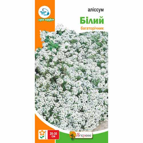Алиссум белый рисунок 1 артикул 90432