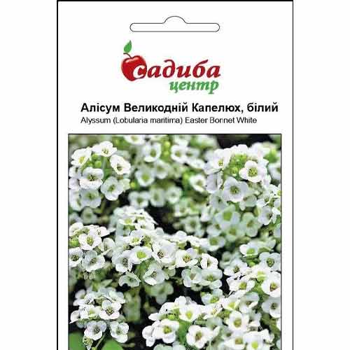 Алисум Пасхальная Шляпа белая Садиба центр рисунок 1 артикул 89071