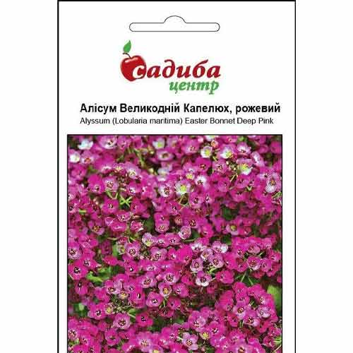 Алисум Пасхальная Шляпа розовая Садиба центр рисунок 1 артикул 89072