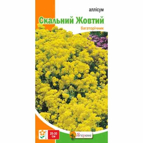 Алиссум скальный желтый рисунок 1 артикул 90433