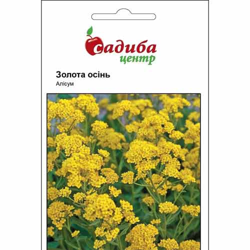 Аліссум Золота осінь Садиба центр зображення 1 артикул 89073