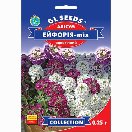Алісум Ейфорія, суміш забарвлень GL Seeds зображення 1 артикул 99395