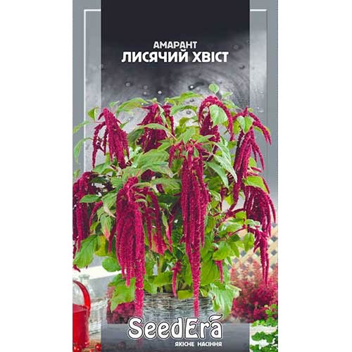 Амарант Лисий хвост Seedera рисунок 1 артикул 72950