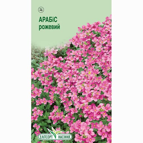 Арабіс Кавказький рожевий Елітсорт зображення 1 артикул 95092