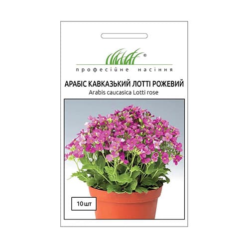 Арабіс Лотті рожевий Професійне насіння зображення 1 артикул 95136