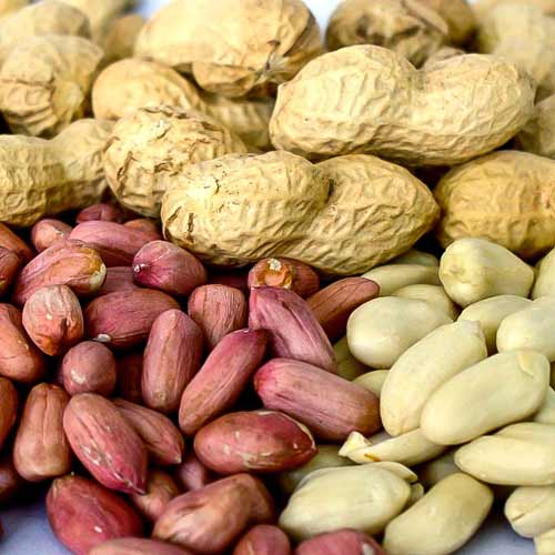 Арахіс Валенсія Українська, насіння зображення 1 артикул 70120