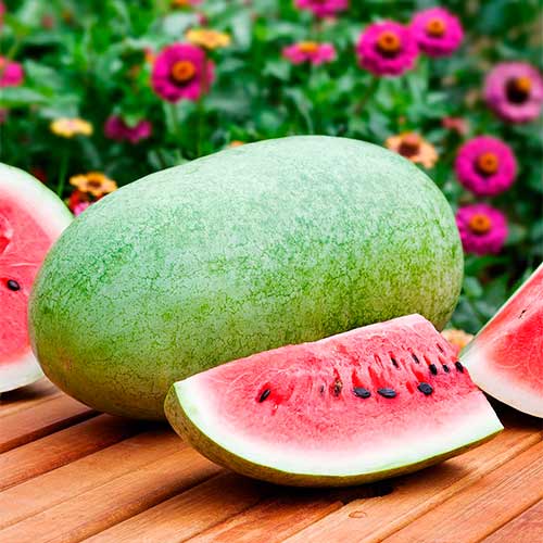 Арбуз Чарльстон грей, семена рисунок 1 артикул 70001