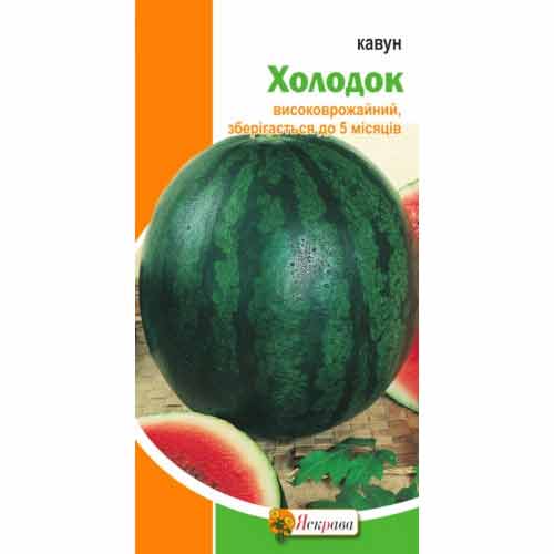 Кавун Холодок Яскрава зображення 1 артикул 72218