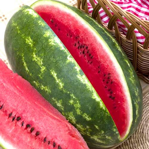 Арбуз Юбилей F1, семена рисунок 1 артикул 65320