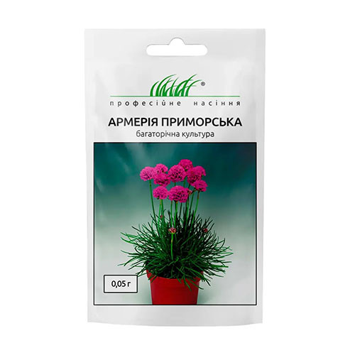 Армерія приморська, суміш забарвлень Професійне насіння зображення 1 артикул 95137