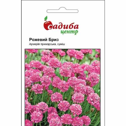 Армерія Рожевий бриз Садиба центр артикул фото 1 Армерія Рожевий бриз Садиба центр зображення 1 артикул 89090