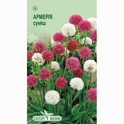 Армерія, суміш забарвлень Елітсорт зображення 1 артикул 95094