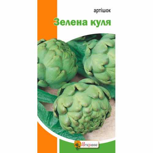 Артишок Зеленая пуля Яскрава рисунок 1 артикул 77158