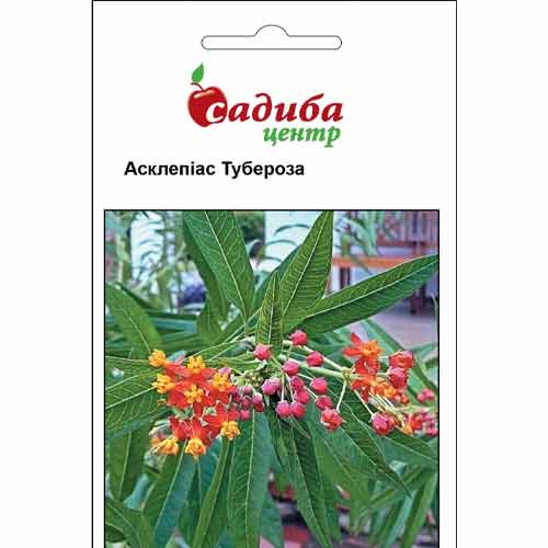 Асклепиас Тубероза Садыба центр артикул фото 1 Асклепиас Тубероза Садыба центр рисунок 1 артикул 89092