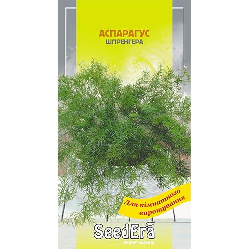 Аспарагус Шпренгера Seedera   рисунок 1 артикул 94947