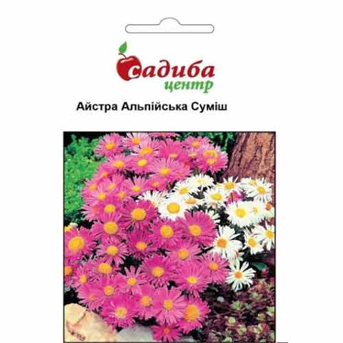 Айстра Альпійська, суміш забарвлень зображення 1 артикул 89003