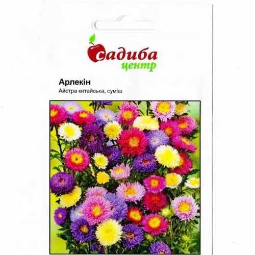 Астра Арлекин, смесь окрасок Садыба центр рисунок 1 артикул 89006