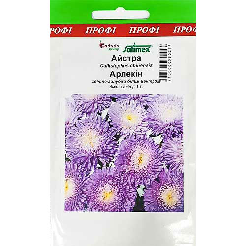 Астра Арлекин Садыба центр артикул фото 1 Астра Арлекин Садыба центр рисунок 1 артикул 89005