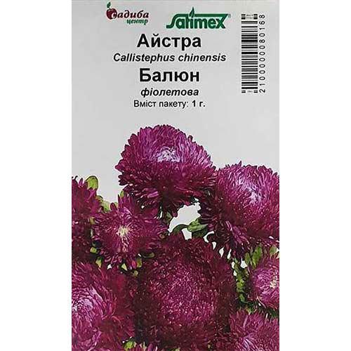 Астра Баллон фиолетовая Садыба центр артикул фото 1 Астра Баллон фиолетовая Садыба центр рисунок 1 артикул 89011