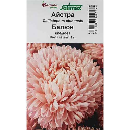 Астра Баллон кремовая Садыба центр артикул фото 1 Астра Баллон кремовая Садыба центр рисунок 1 артикул 89007