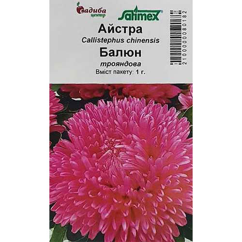 Астра Баллон розовая Садыба центр артикул фото 1 Астра Баллон розовая Садыба центр рисунок 1 артикул 89010