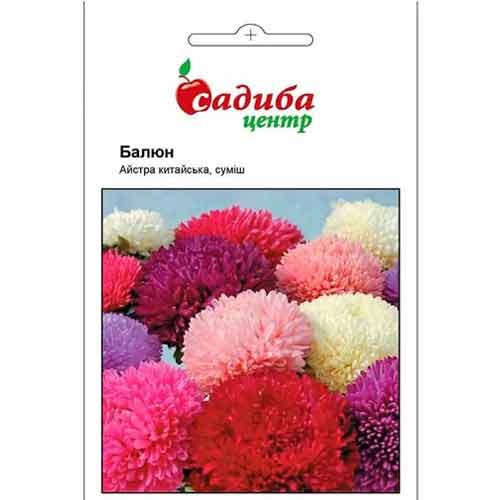 Айстра Балюн, суміш забарвлень Садиба центр зображення 1 артикул 89014