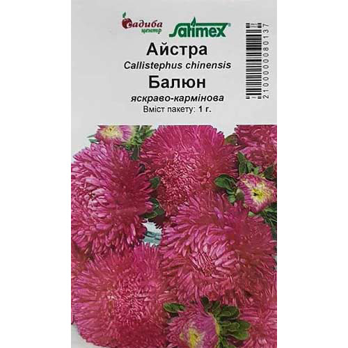 Астра Баллон ярко-карминовая Садыба центр рисунок 1 артикул 89013