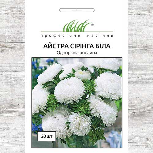 Айстра біла Сірінга  зображення 1 артикул 90284