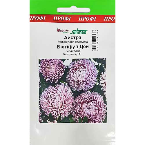 Астра Бьютифул Дей лавандовая Садыба центр рисунок 1 артикул 89016