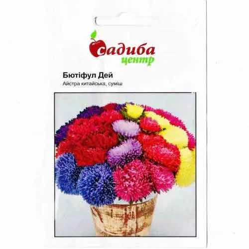 Астра Бьютифл Дэй, смесь окрасок Садиба центр рисунок 1 артикул 72885