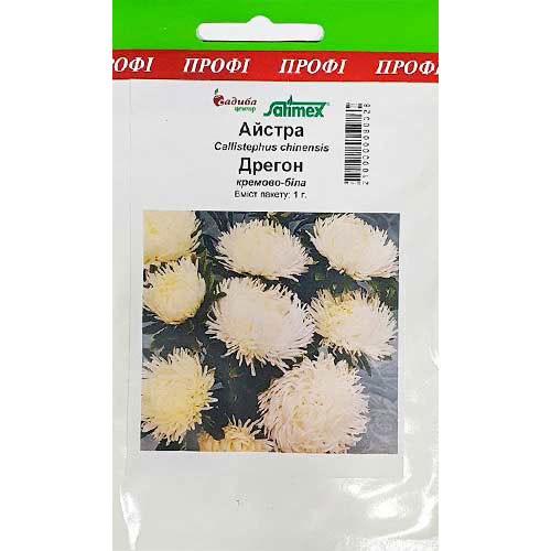 Астра Дрегон кремово-белая Садыба центр рисунок 1 артикул 89025
