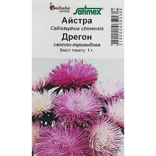 Астра Дрегон светло-розовая Садыба центр артикул фото 1 Астра Дрегон светло-розовая Садыба центр рисунок 1 артикул 89027