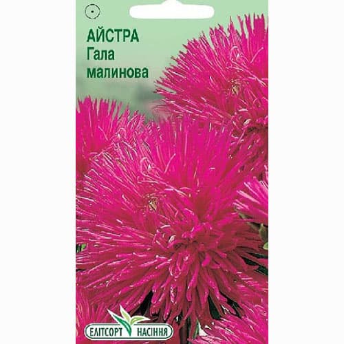 Айстра Гала малинова Елітсорт зображення 1 артикул 90537