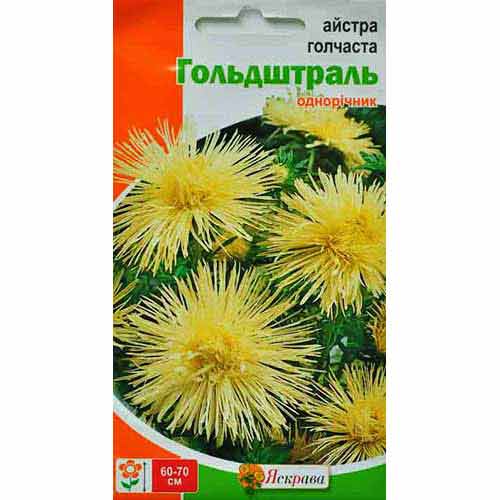 Айстра Гольдштраль Яскрава зображення 1 артикул 72937