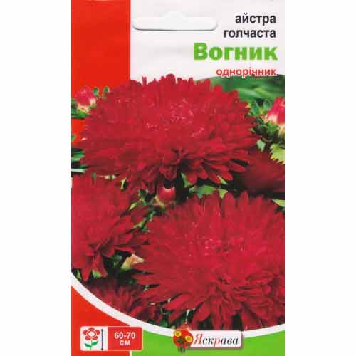 Астра игольчатая Огонек рисунок 1 артикул 90424
