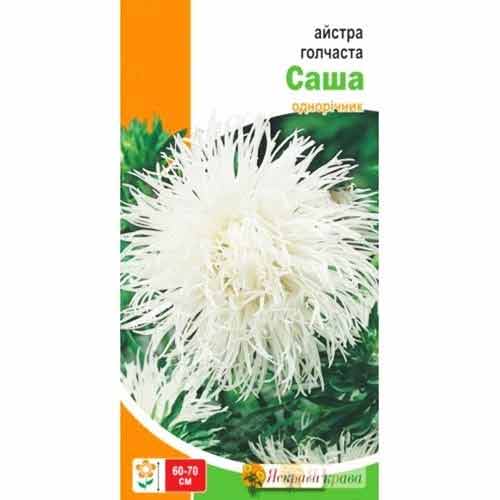Астра игольчатая Саша белая Яскрава рисунок 1 артикул 90426