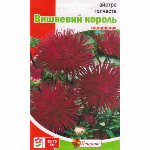 Астра игольчатая Вишневый король артикул фото 1 Астра игольчатая Вишневый король рисунок 1 артикул 72011