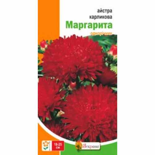 Астра Маргарита красная артикул фото 1 Астра Маргарита красная рисунок 1 артикул 72018