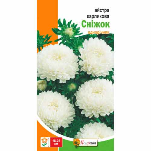 Астра Снежок рисунок 1 артикул 72021