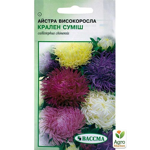 Айстра Крален, суміш забарвлень Seedera артикул фото 1 Айстра Крален, суміш забарвлень Seedera зображення 1 артикул 66236