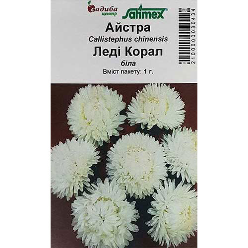 Астра Леди Корал белая Садыба центр артикул фото 1 Астра Леди Корал белая Садыба центр рисунок 1 артикул 89034