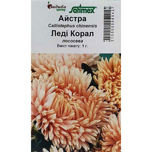 Астра Леди Корал лососевая Садыба центр рисунок 1 артикул 89038