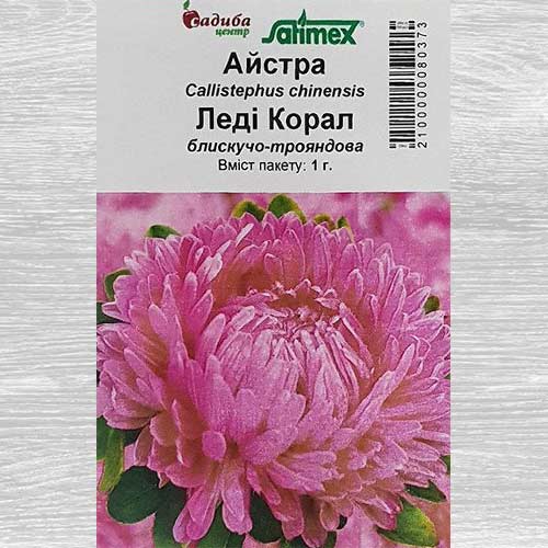 Айстра Леді Корал рожева зображення 1 артикул 89035