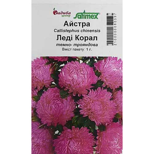 Астра Леди Корал темно-розовая Садыба центр артикул фото 1 Астра Леди Корал темно-розовая Садыба центр рисунок 1 артикул 89039