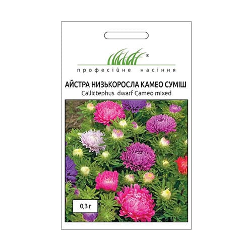 Айстра Камео, суміш забарвлень Професійне насіння зображення 1 артикул 72024