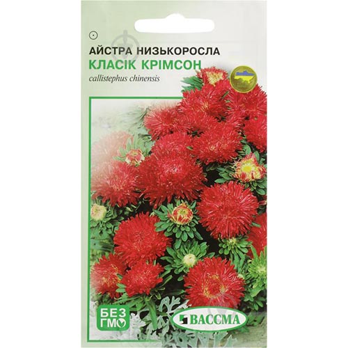 Астра Классик Кримсон Seedera рисунок 1 артикул 66379