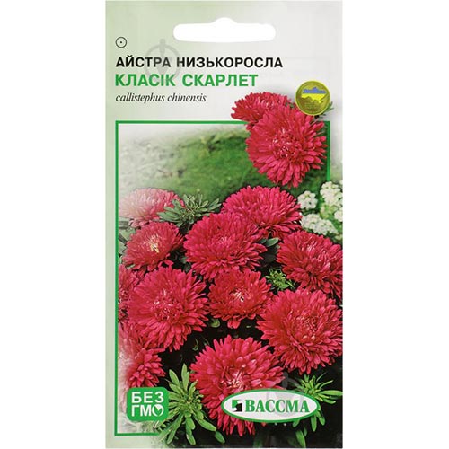 Айстра Класік Скарлет Seedera зображення 1 артикул 66381
