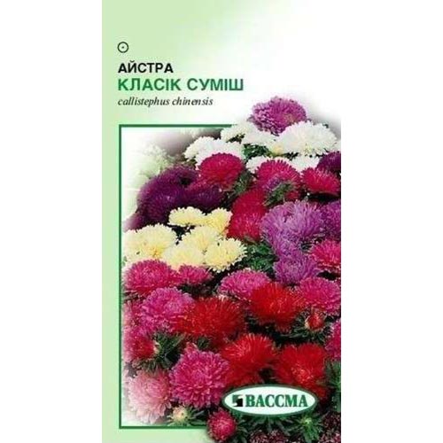 Астра Классик, смесь окрасок Seedera артикул фото 1 Астра Классик, смесь окрасок Seedera рисунок 1 артикул 66382